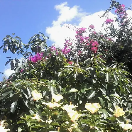 Apartment Buganville